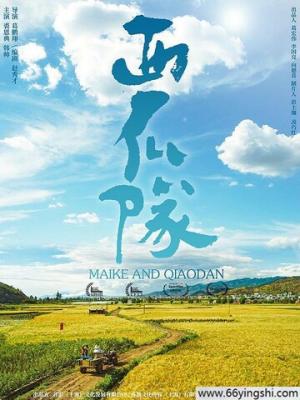 疯狂兄妹完整版免费观看高清影视海报